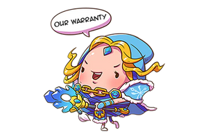 Account Warranty